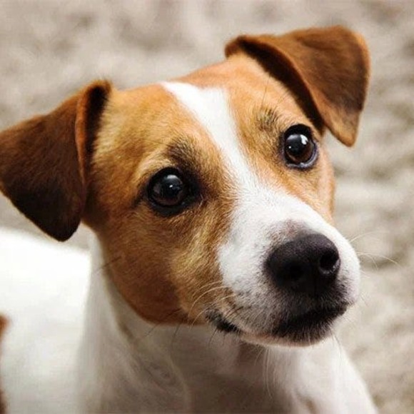 Meet your Posher, Kimberley - Picture 1 of 1